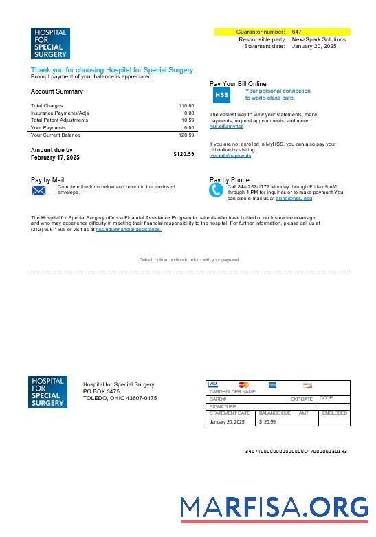 Printable USA Ohio Hospital For Special Surgery business utility bill template in Word and PDF formats